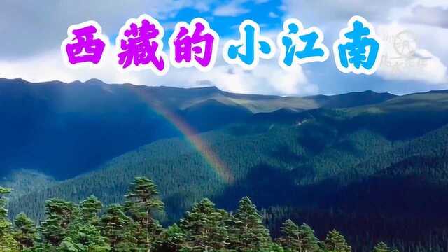 河南小夫妻穷游中国,林芝鲁朗镇川藏线最美路线,西藏的小江南