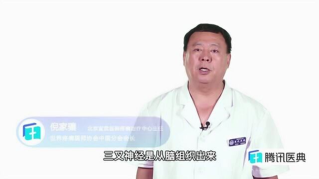 总听到的“三叉神经”到底在哪里?