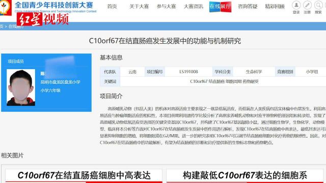 云南小学生研究癌症论文奖项被撤销,父亲发声明致歉称孩子压力大