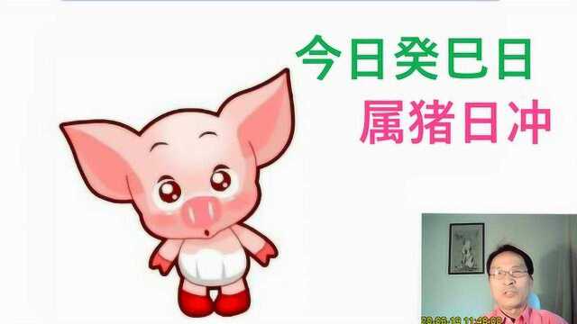 今天日冲,属相猪,财运不好