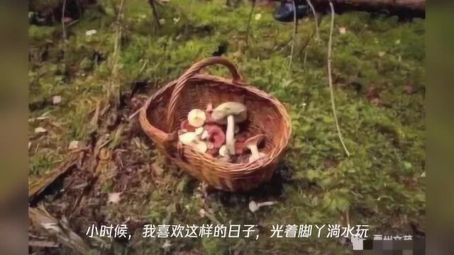 小时候,我喜欢这样的日子(散文)