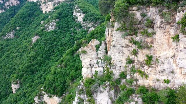 大山上的石马,徒步4小时终于拍到了,佩服大自然鬼斧神工!