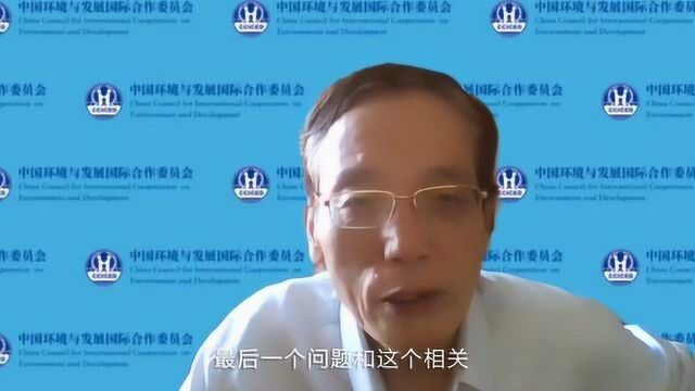 刘世锦:在逆全球化背景下中型和大型经济体应实行“备胎”战略