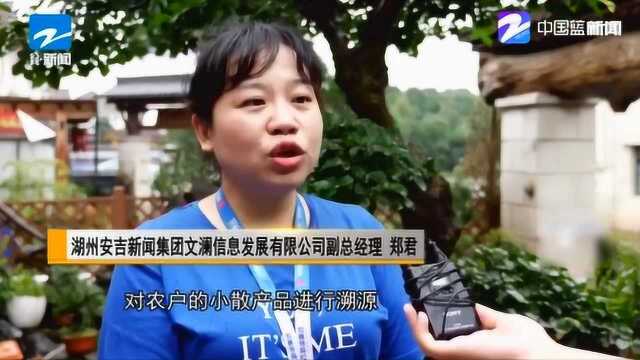 安吉:大数据大智慧 产销模式向数字化转变 点亮美丽乡村