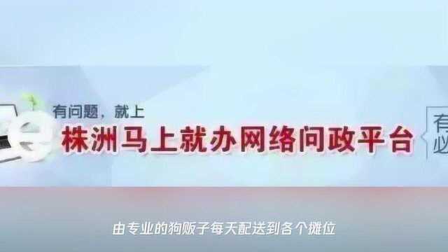 起伏了,你会去吃伏鸡伏狗不? 专家提醒不是每个人都适合