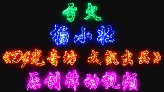 杨小壮  亏欠《DJ光音坊 WENKAI出品》