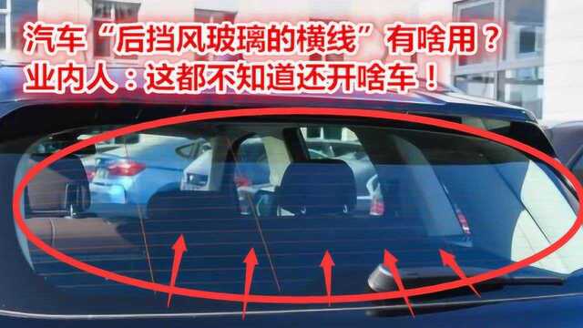 汽车“后挡风玻璃的横线”有啥用?业内人:这都不知道还开啥车!