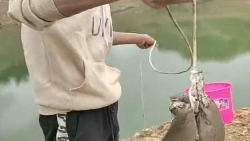 这次下血本了,用刚买的猪肝钓大鱼,马上就会有收获! - 腾讯视频