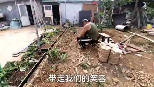 016小院改造第十六弹之花坛小栅栏 最终版