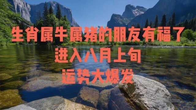 生肖属牛属猪的朋友有福了,进入八月上旬,运势大爆发