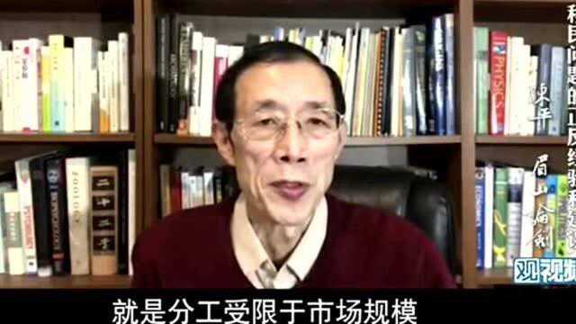 陈平:永久居留权2030年肯定要禁止的,改成长期比较好!教授想的太周到