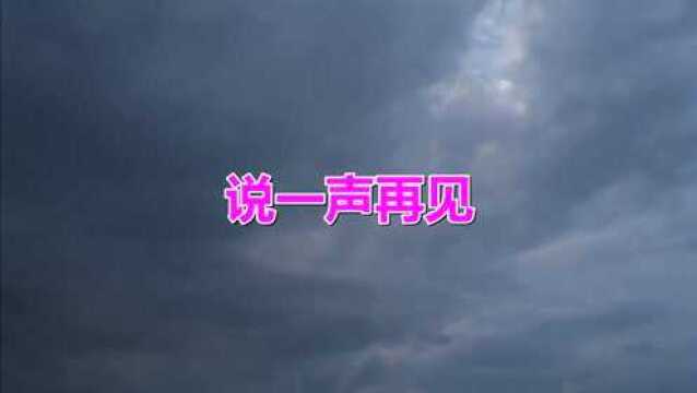 一曲经典《说一声再见》一听就喜欢上了,风格朴素深情