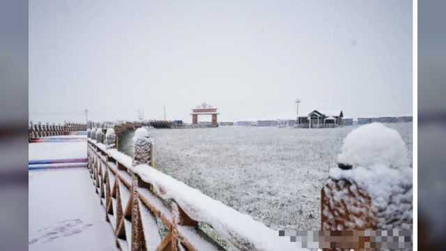 太突然!甘肃八月起飞雪,看看实情吧