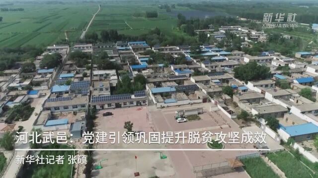 河北武邑:党建引领巩固提升脱贫攻坚成效