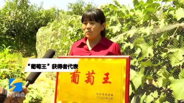 滨州阳信“商店”里的五彩果蔬 促进百姓脱贫致富