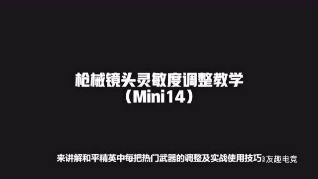 《友趣电竞》专业教学枪械灵敏度调整(mini14)