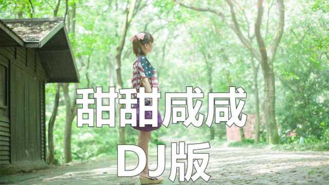 甜甜咸咸DJ版2020流行单曲