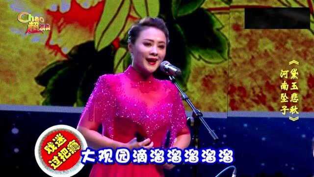 河南坠子《黛玉悲秋》悲秋的黛玉姑娘越发伤情,美女介贺琼演唱