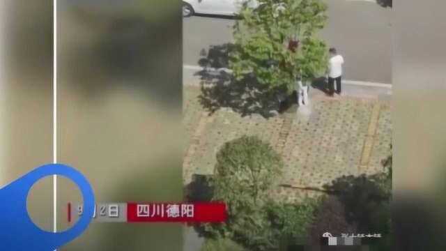 重大事件!四川发生一起杀妻案件,位于德阳市,现场令人很是揪心