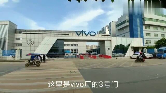 广东东莞:长安 Vivo厂招聘,活了几十年这种场景第一次见!