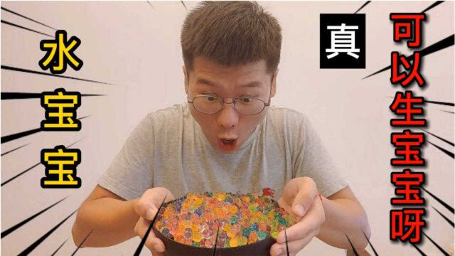 水宝宝真的能生宝宝吗?小伙耗时8天细心照顾水宝宝,能否成功