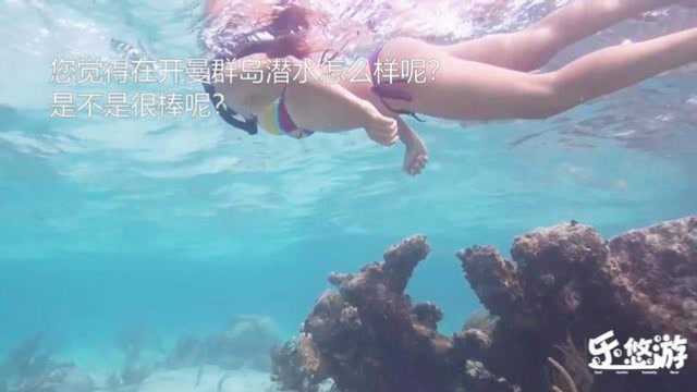 来到加勒比,看看美女老外是怎样潜水呢?中国网友:绝了