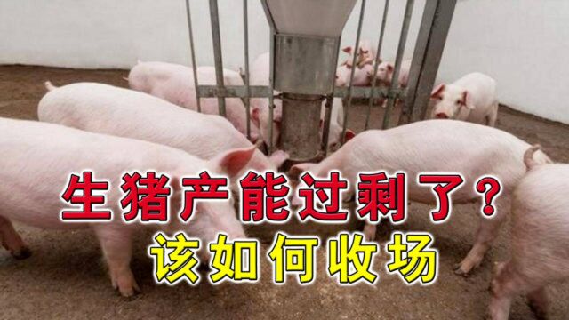 我国养猪规模或超20亿头,生猪产能过剩,疯狂扩张后该如何收场?