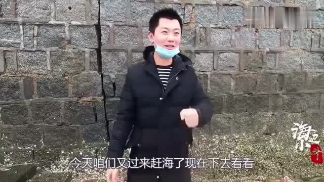 大雾天去赶海,海边冲上来大片海龙鱼,渔民没要的小斗给当成宝