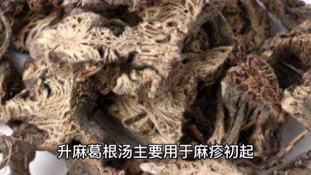 升麻葛根汤有什么作用?古人用它来做什么?且听老魏给你详细介绍