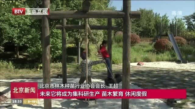 北京再开放11处苗圃 成为秋游打卡地