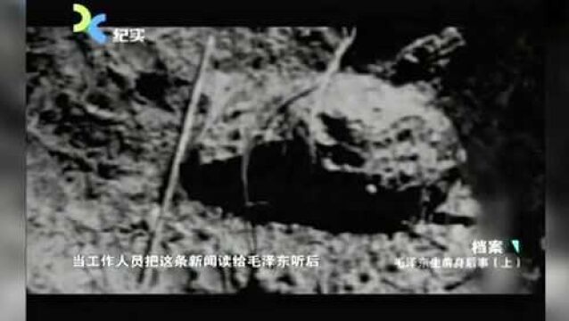 1976年,吉林发生罕见的陨石雨因一原因,毛主席出现少有的不安