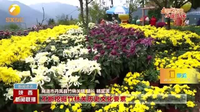 商洛竹林关村:依托景区商贸繁华,产业兴旺村美人富