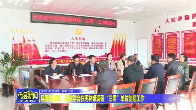 县委政法委、县法学会在枣林镇调研“三零”单位创建工作