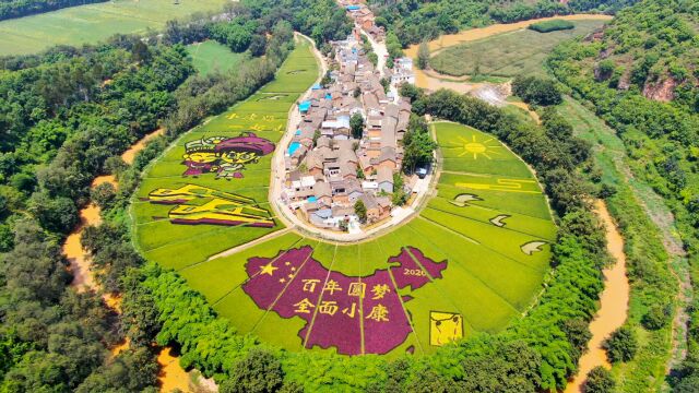 昆明河湾村,81户人家共居稻田中间,三面环水太美了