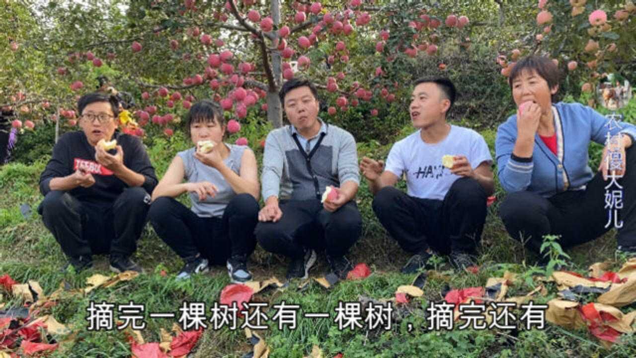 大妮上山摘苹果满树红彤彤的真喜人先蹲树下啃个苹果解解渴