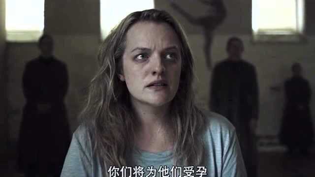 使女的故事,女人应该看看这部剧