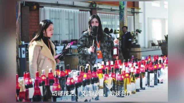 宁夏:立足风土“匠心”酿造顶级好酒