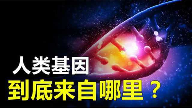 人类才300万年就高度进化,我们的基因来自哪里?究竟隐藏着什么秘密?