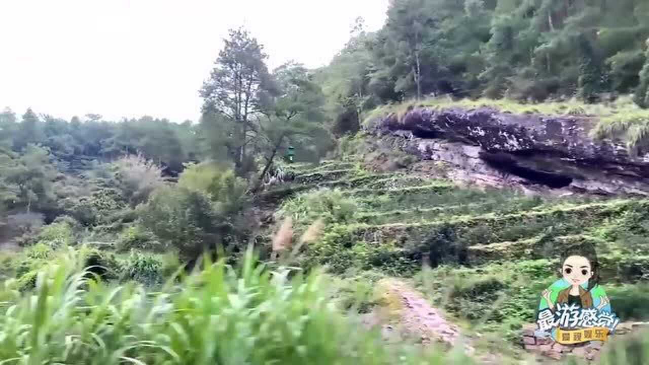 实拍福建第一山武夷山,山中十步一茶林,深处发现神秘道观!