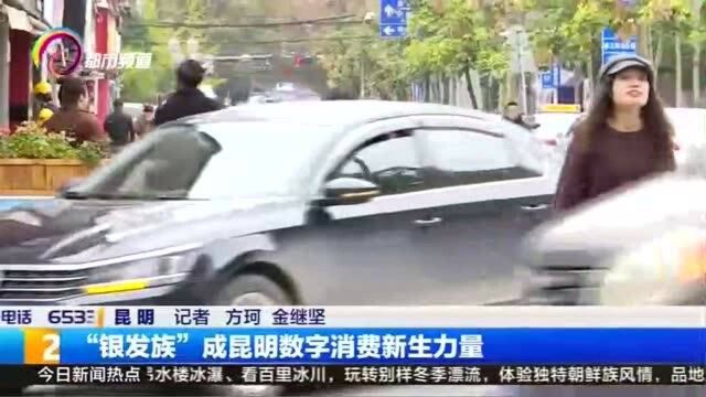 “银发族”成昆明数字消费新生力量