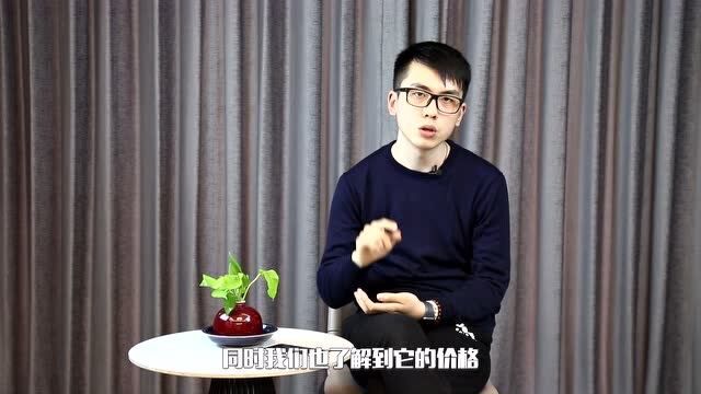 【一周大事件】哈啰进军网约车/滴滴上线新西兰/法拉利也要造SUV