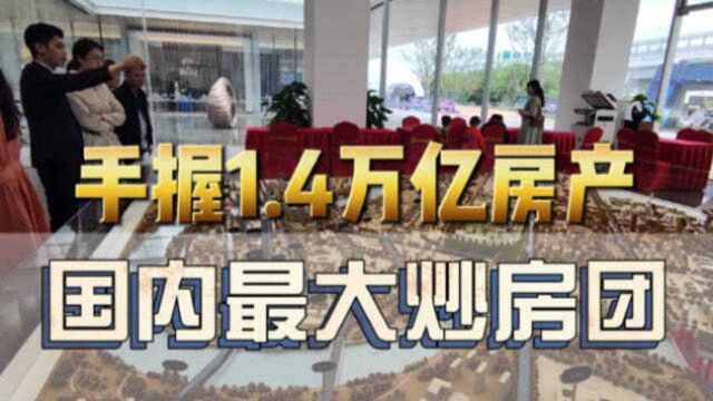 最大炒房团“浮出水面”,手握1.4万亿房产,原来它们才是幕后推手