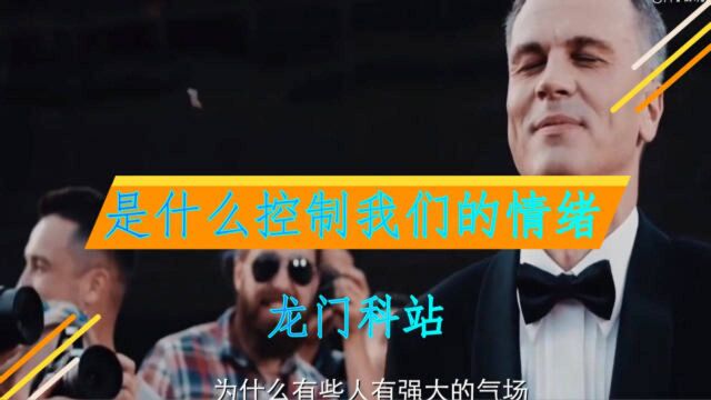 是什么控制我们的情绪