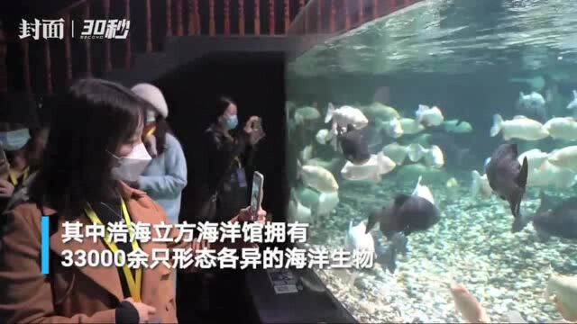 30秒|全国主流媒体双流第一站好梦幻 记者和3.3万余只海洋生物亲密接触