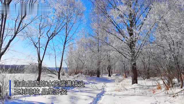 黑龙江塔河:玉树琼枝, “冰花”盛开