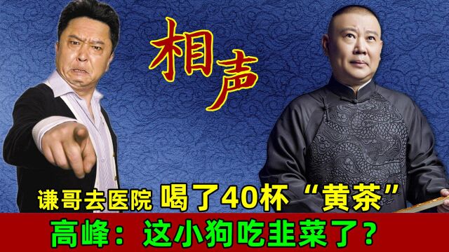 郭德纲相声:谦哥去医院喝了40杯黄茶,高峰说这小狗吃韭菜了