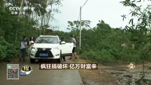 大叔带领农户一起种植沉香树,使农户们脱贫