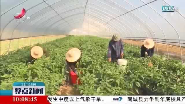 【中国的脱贫智慧】江西湖口县:企业帮扶 脱贫见效