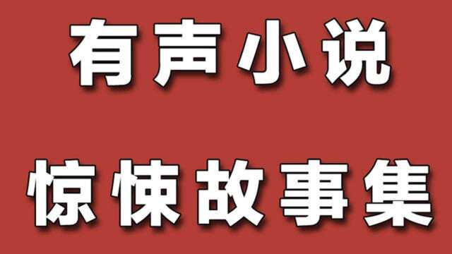 「siri讲故事」玫瑰,(有声小说)500集全02