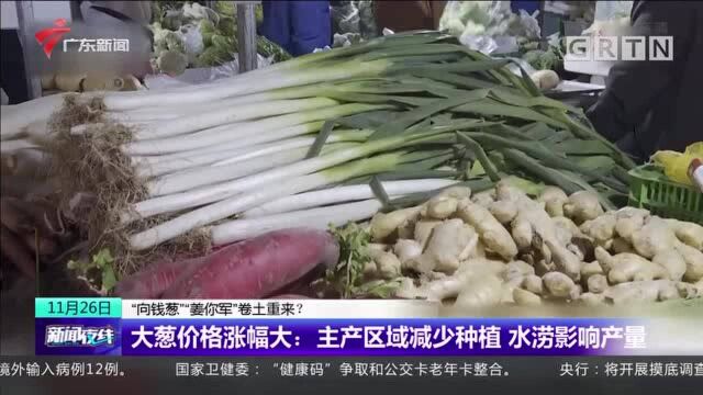 “向钱葱”“姜你军”卷土重来? 大葱价格涨幅大:主产区域减少